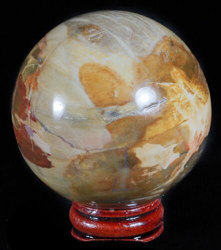 Colorful Petrified Wood Sphere - Oregon #61204